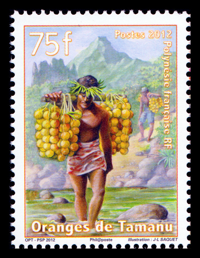 Oranges de Tamanu, Iles du Vent, Polynésie Française