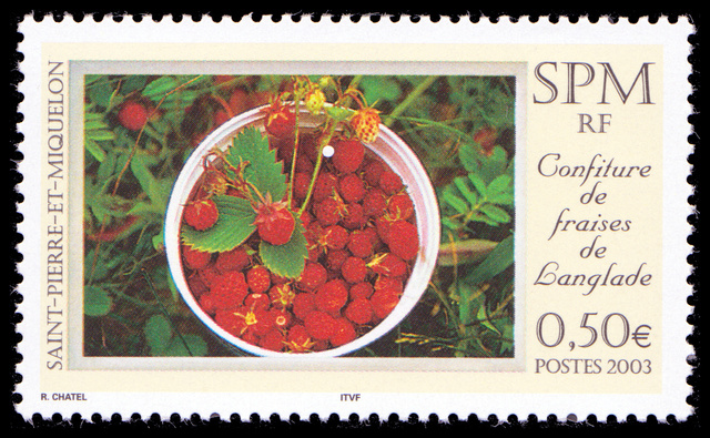 Saint-Pierre et Miquelon - 2003 - Confiture de fraises de Langlade